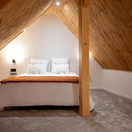 Koeur Du Chateau Saint-Hippolyte (Haut-Rhin)